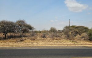 Red Hot Africa-View of the plot from the highway